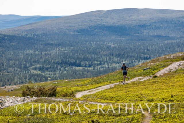 Trailrunning im Nipfjäll - Dalarna